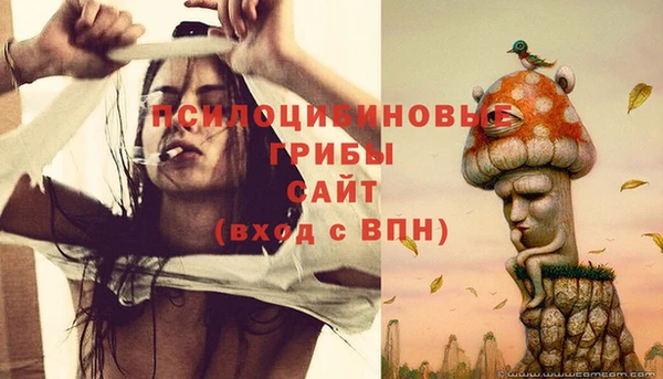 трава Балахна