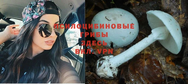 трава Балабаново