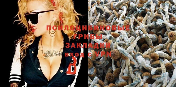 дмт Покров
