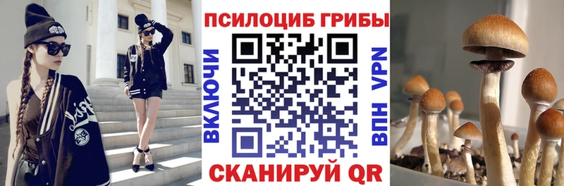 Псилоцибиновые грибы мухоморы Пойковский